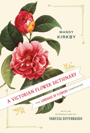 A Victorian Flower Dictionary by Mandy Kirkby