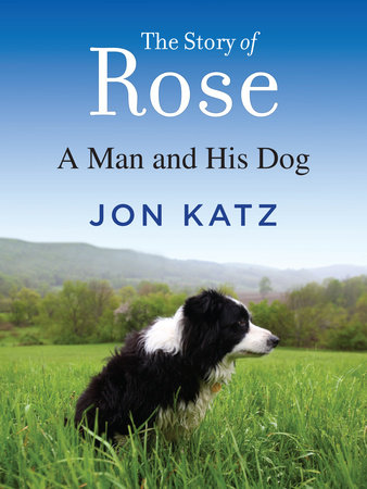 The Story of Rose by Jon Katz