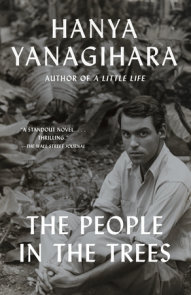 A Little Life by Hanya Yanagihara, by Sukriti Gracias