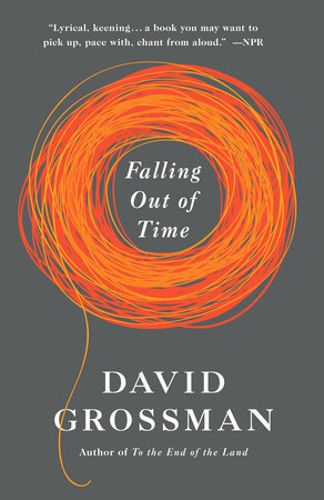 Falling Out of Time by David Grossman