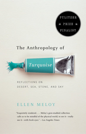 The Anthropology of Turquoise by Ellen Meloy