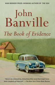 The Book of Evidence