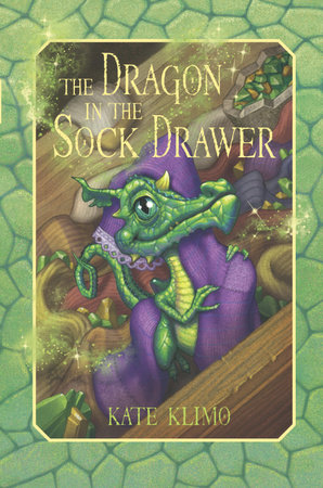 Dragon Keepers #1: The Dragon in the Sock Drawer by Kate Klimo