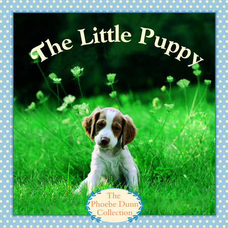 The Little Puppy by Judy Dunn