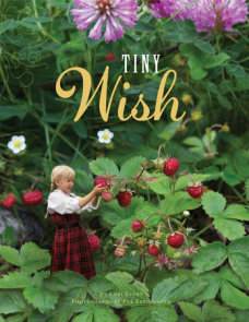 The Tiny Wish