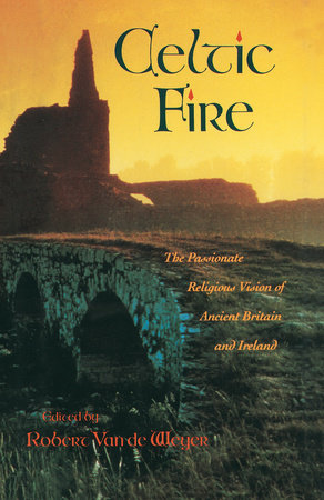 Celtic Fire by Robert Van De Weyer