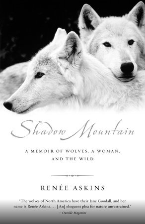 Shadow Mountain by Renee Askins