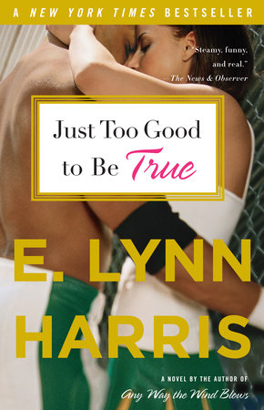Just Too Good to Be True by E. Lynn Harris