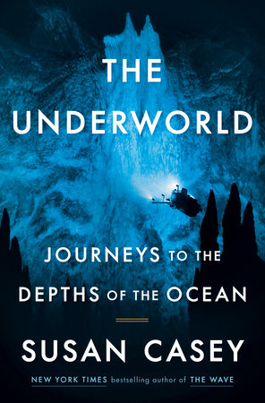 The Underworld Book Cover Picture