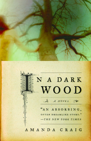 In a Dark Wood by Amanda Craig