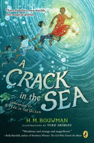 A Crack in the Sea