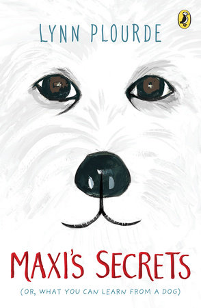 Maxi's Secrets by Lynn Plourde