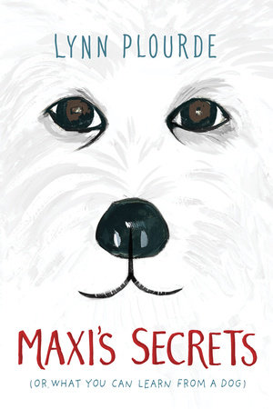 Maxi's Secrets by Lynn Plourde