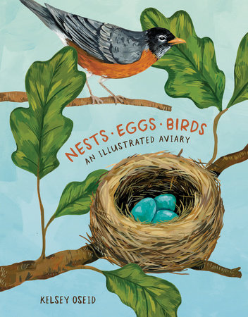 Nests, Eggs, Birds by Kelsey Oseid