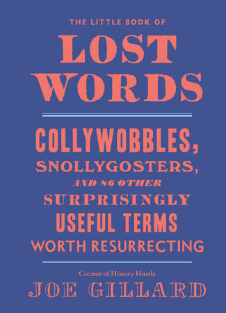 The Little Book of Lost Words by Joe Gillard