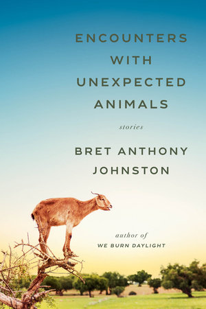 Encounters with Unexpected Animals by Bret Anthony Johnston