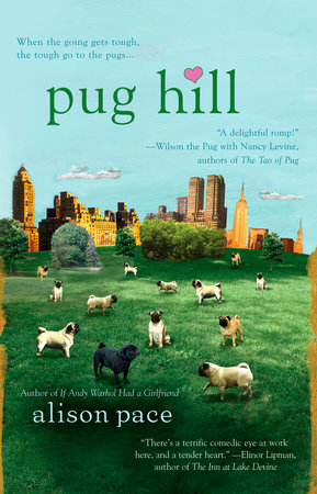 Pug Hill by Alison Pace