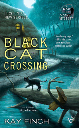 Black Cat Crossing by Kay Finch