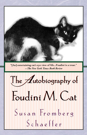 The Autobiography of Foudini M. Cat by Susan Fromberg Schaeffer