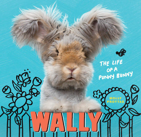 Wally by Molly Prottas