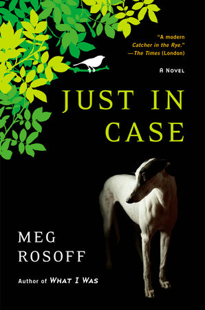 Just in Case by Meg Rosoff