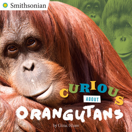 Curious About Orangutans by Gina Shaw