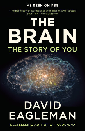 The Brain by David Eagleman