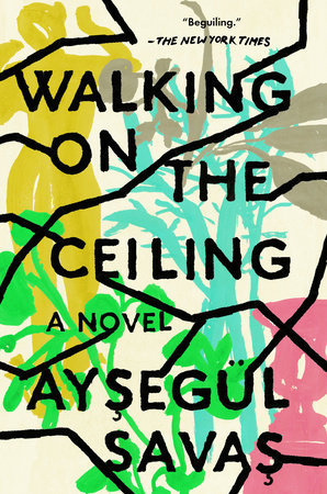 Walking on the Ceiling by Aysegül Savas