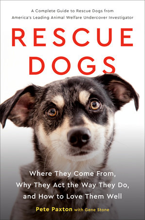 Rescue Dogs by Gene Stone and Pete Paxton