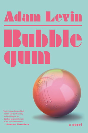 Bubblegum by Adam Levin