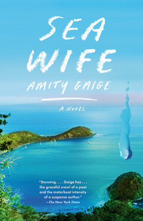 Sea Wife by Amity Gaige