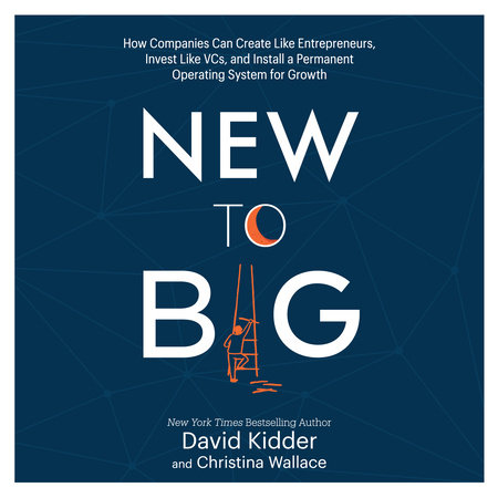 New to Big by David Kidder and Christina Wallace