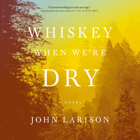 Whiskey When We're Dry by John Larison