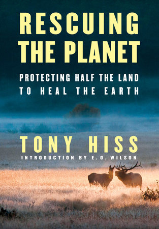 Rescuing the Planet by Tony Hiss