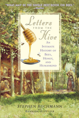 Letters from the Hive by Stephen Buchmann and Banning Repplier