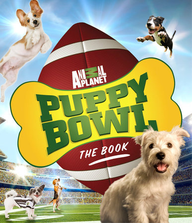 Puppy Bowl by Discovery Communications
