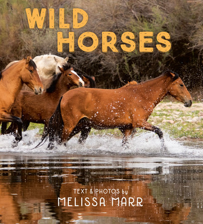 Wild Horses by Melissa Marr