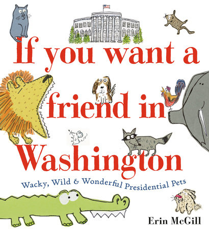 If You Want a Friend in Washington by Erin McGill