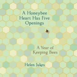 A Honeybee Heart Has Five Openings