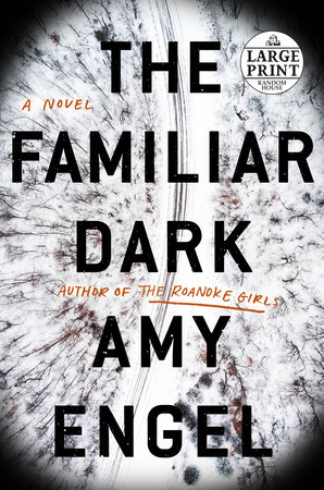 The Familiar Dark by Amy Engel
