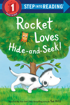Rocket Loves Hide-and-Seek! by Tad Hills