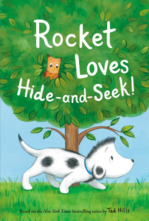 Rocket Loves Hide-and-Seek! by Tad Hills