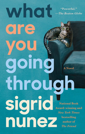 What Are You Going Through by Sigrid Nunez