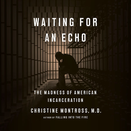 Waiting for an Echo by Christine Montross