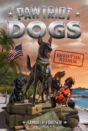 Into the Storm #3 by Sam Fortsch; Illustrated by Manuel Gutierrez