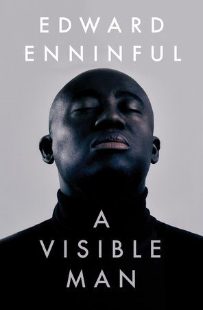 A Visible Man Book Cover Picture