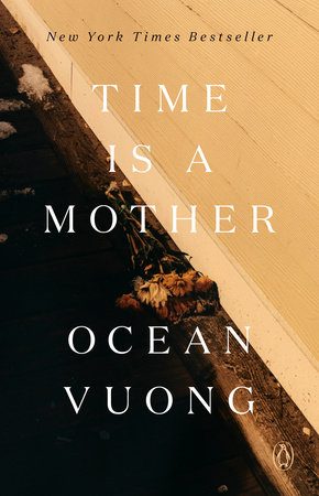 Time Is a Mother Book Cover Picture