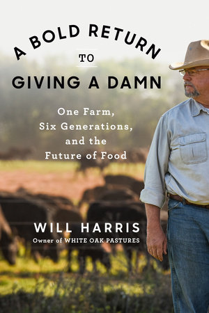 A Bold Return to Giving a Damn by Will Harris