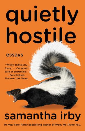 Quietly Hostile Book Cover Picture