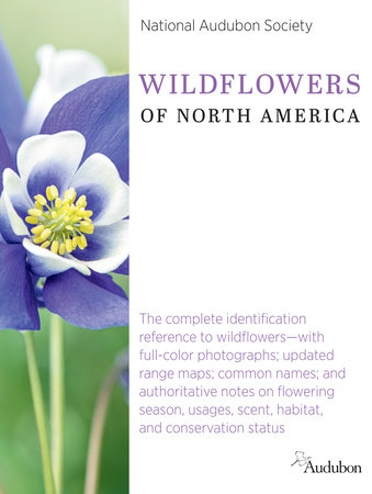 National Audubon Society Wildflowers of North America by National Audubon Society